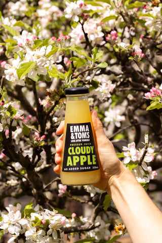 Cloudy Apple Juice 250ml (Glass)