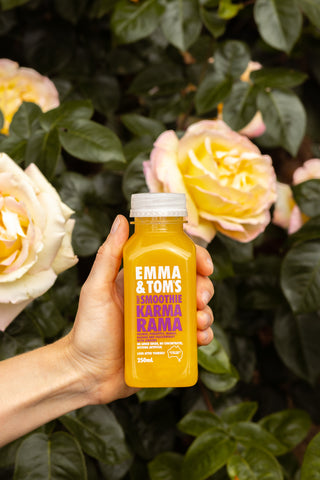 Karmarama Smoothie 250ml